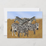 Sunny Serengeti Zebra | African Wildlife Safari Postcard