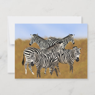 Sunny Serengeti Zebra   African Wildlife Safari Postcard