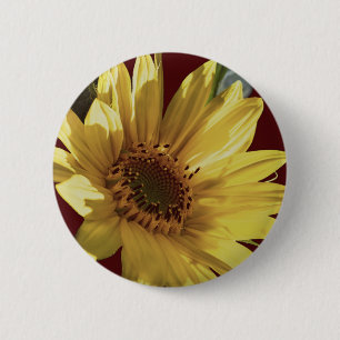 Sunny Side Up Button