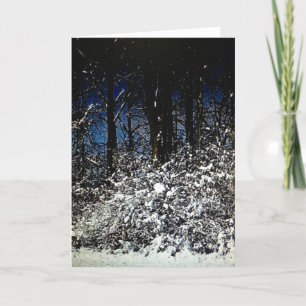 Sunny Snowy Christmas Frameable Card 5x7