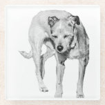 Sunny Squint Glass Coaster<br><div class="desc">Protect your table with a moment of canine comedy—this dog’s bright-day face is pure character. It adds warmth and laughter to everyday rituals.</div>