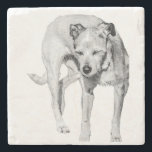Sunny Squint Stone Coaster<br><div class="desc">Protect your table with a moment of canine comedy—this dog’s bright-day face is pure character. It adds warmth and laughter to everyday rituals.</div>