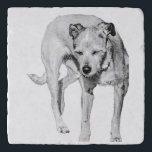 Sunny Squint Trivet<br><div class="desc">Protect your table with a moment of canine comedy—this dog’s bright-day face is pure character. It adds warmth and laughter to everyday rituals.</div>