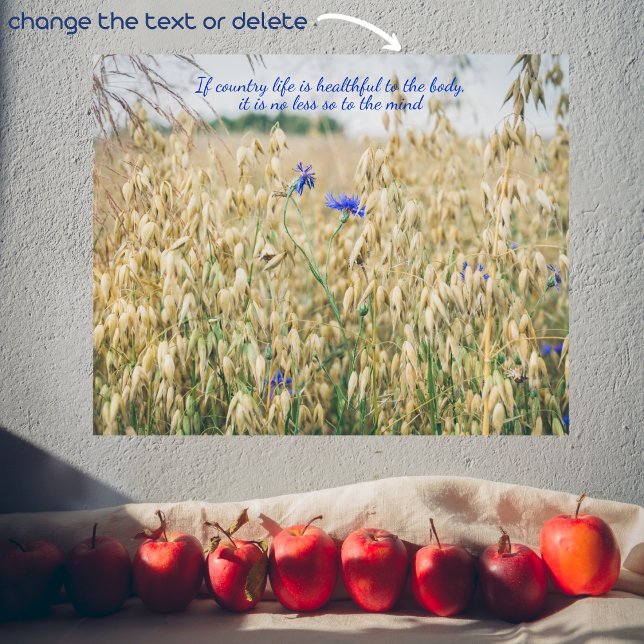 Sunny summer fields poster (Creator Uploaded)