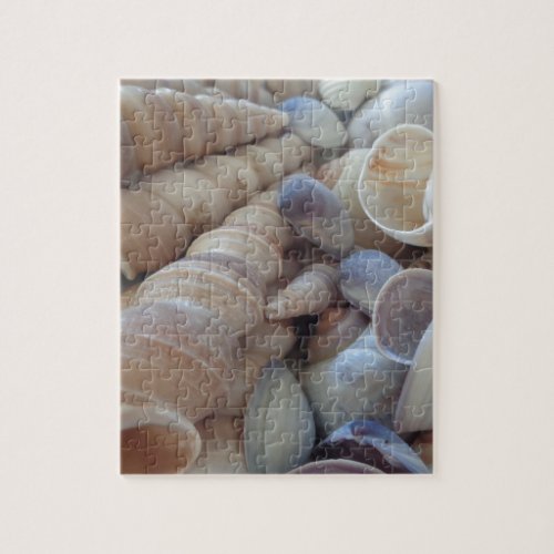 Sunny Summer Seashells Romantic Exotic Tropical Jigsaw Puzzle