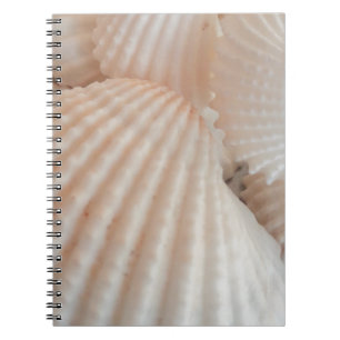 Sunny Summer Seashells. Romantic, Exotic Tropical Notebook
