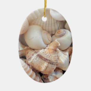 Sunny Summer Seashells, Sea Shells Beach Love Ceramic Ornament