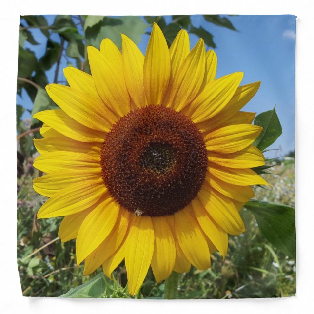 Sunny Sunflower Bandana (Front)