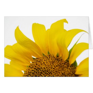 Sunny Sunflower Blank Greeting Card