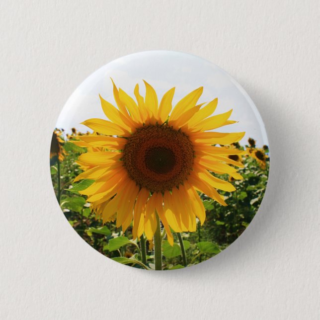 Sunny Sunflower Button (Front)