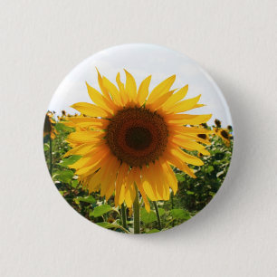 Sunny Sunflower Button