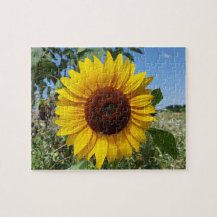 Sunny Sunflower Jigsaw Puzzle