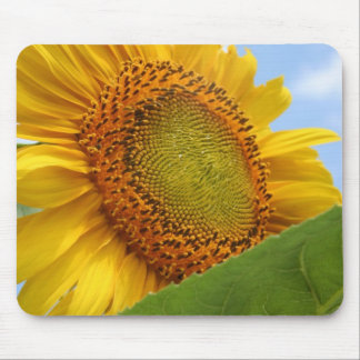 Sunny Sunflower Mouse Pad