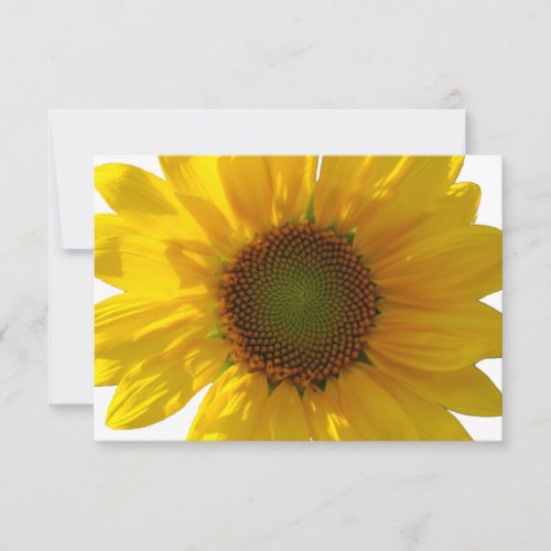 Sunny Sunflower Personalized Blank Notecard