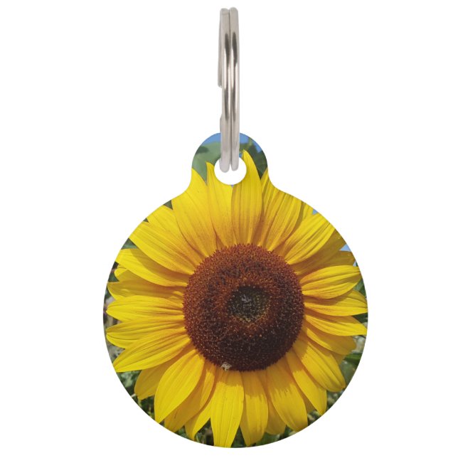 Sunny Sunflower Pet ID Tag (Front)