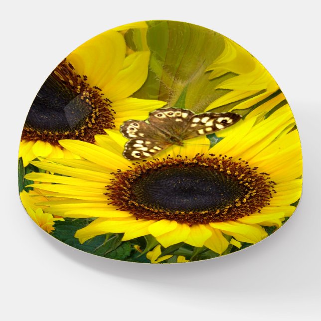 Sunny Sunflowers and Butterfly Paperweight (Angled)