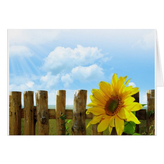 Sunny Sunflowers Cards (Front Horizontal)