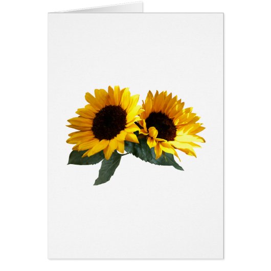 Sunny Sunflowers Cards (Front)