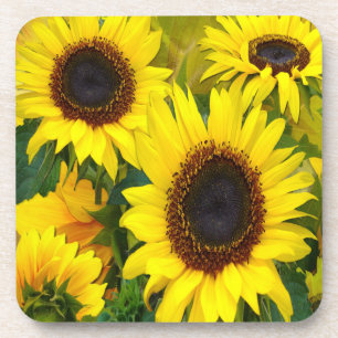 Sunny Sunflowers Drink Coaster