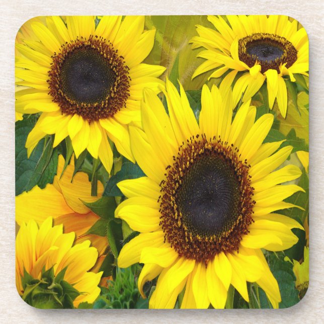 Sunny Sunflowers Drink Coaster (Front)