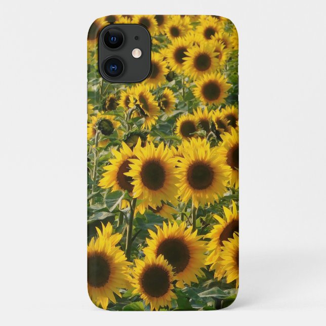 Sunny Sunflowers iPhone Case (Back)