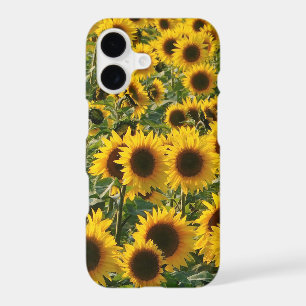 Sunny Sunflowers iPhone Case