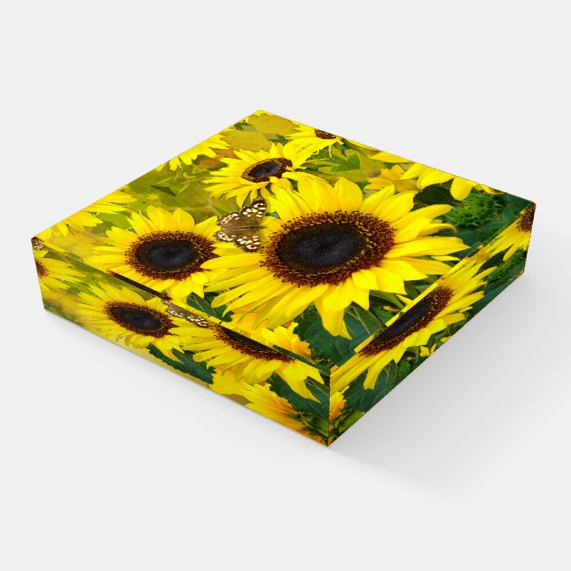 Sunny Sunflowers Paperweight (Angled)