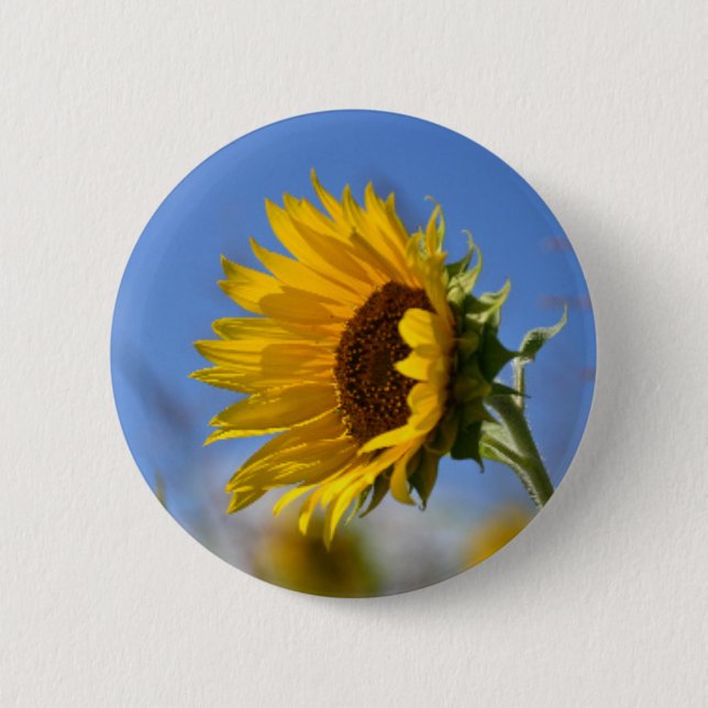 Sunny Sunflowers Pinback Button (Front)