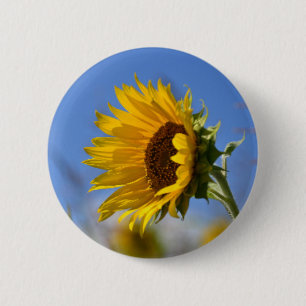 Sunny Sunflowers Pinback Button