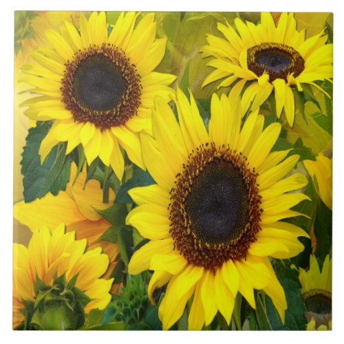 Sunny Sunflowers Tile