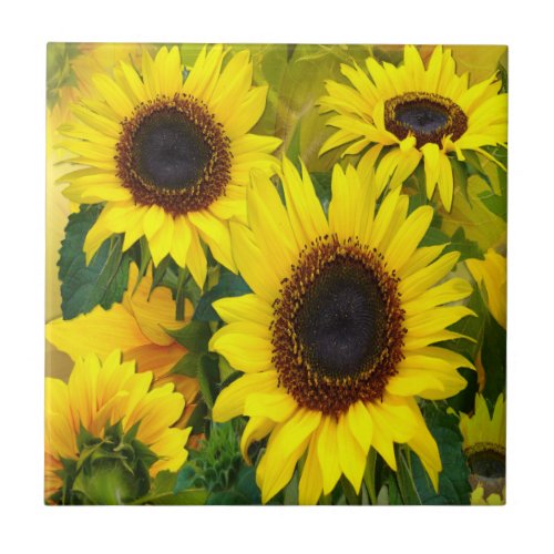 Sunny Sunflowers Tile