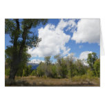 Sunny View of Grand Teton Mountain Cards