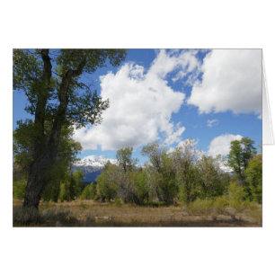 Sunny View of Grand Teton Mountain Cards
