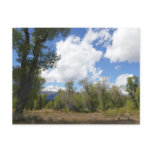 Sunny View of Grand Teton Mountain Postcard