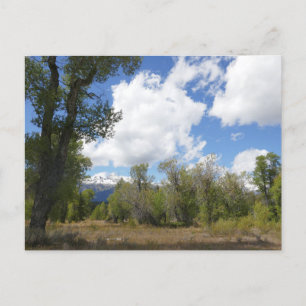 Sunny View of Grand Teton Mountain Postcard