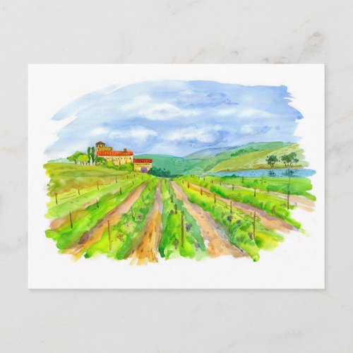 Sunny vineyard Watercolor painting Postcard