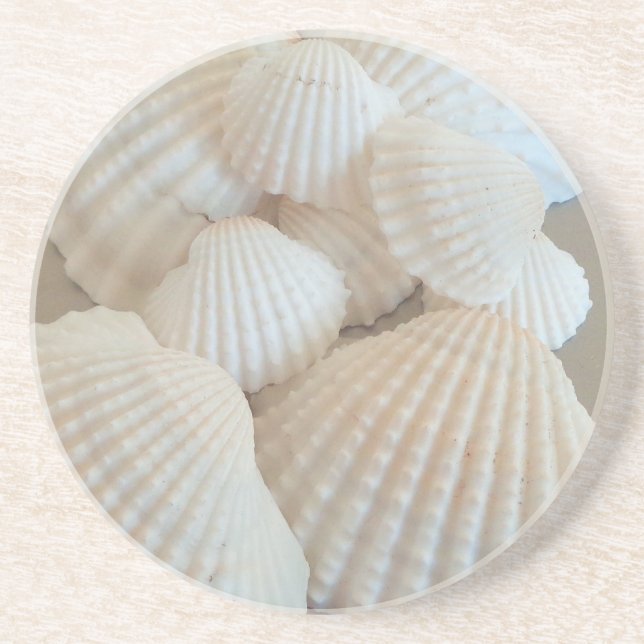 Sunny White Seashells, Summer Beach Exotic Drink Coaster (Front)