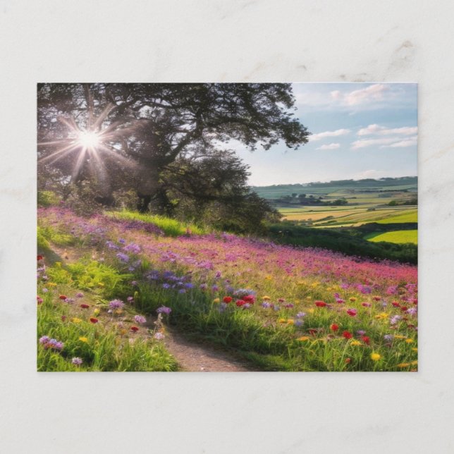 Sunny Wildflowers in the Country Holiday Postcard (Front)