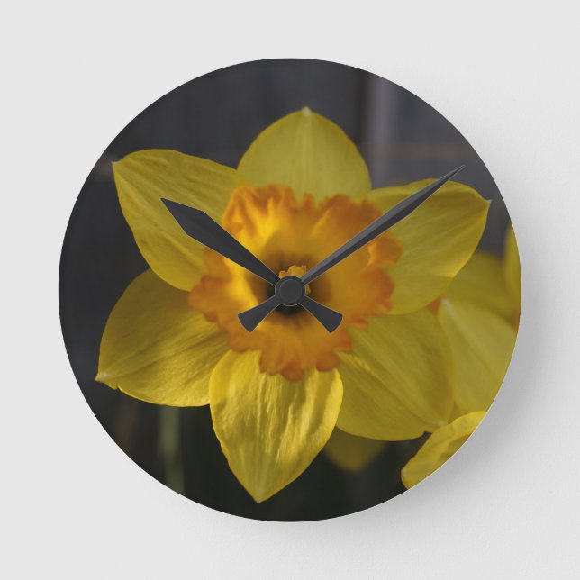 Sunny Yellow Daffodil Round Clock (Front)