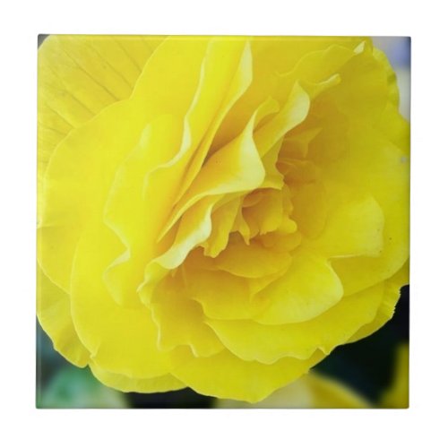 Sunny Yellow Flower Ceramic Tile