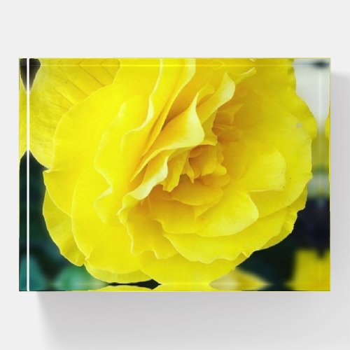 Sunny Yellow Flower Paperweight