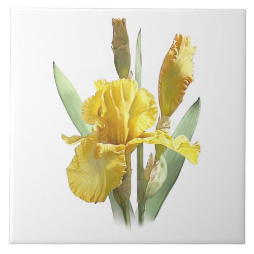 Sunny Yellow Iris Flower Botanical Art Ceramic Tile