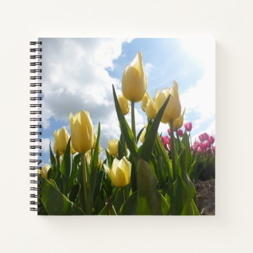 Sunny Yellow  Pink Tulips with Blue Sky Notebook