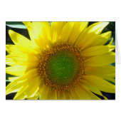 Sunny Yellow Sunflower Blank (Front Horizontal)