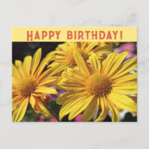 Sunny Yellow/Yellow Chrysanthemum/Happy Birthday/