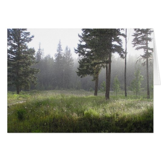 Sunrain Forest Cards (Front Horizontal)