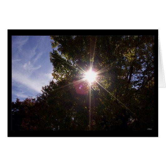 Sunrays (bordered black) cards (Front Horizontal)