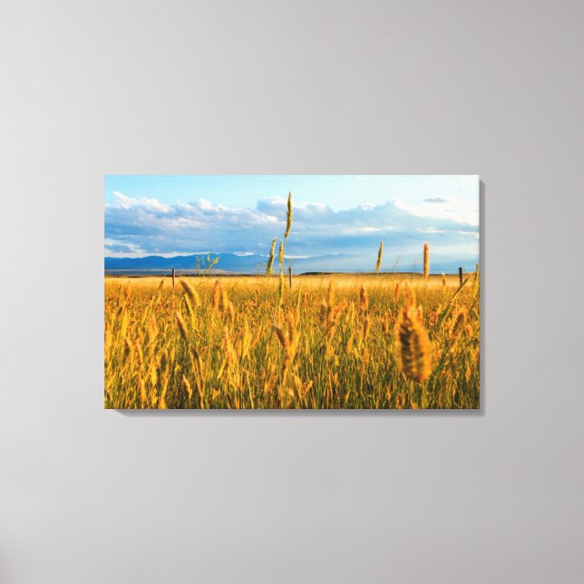 Sunrays over field of wheat with mountains canvas print (Front)