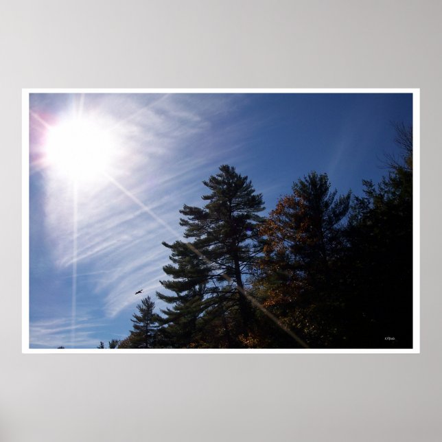 Sunrays Poster (Front)