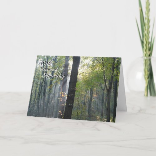 Sunrays through Trees Sympathy Greeting Card